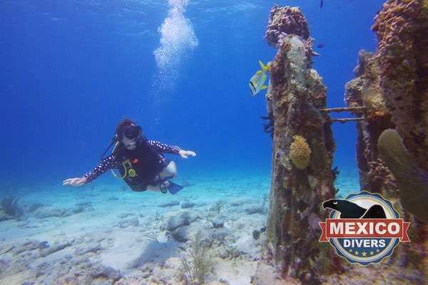 You are currently viewing MUSA Underwater Museum of Art