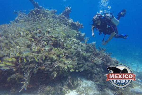 Read more about the article Manchones 2 Reef