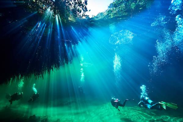 Read more about the article Casa Cenote