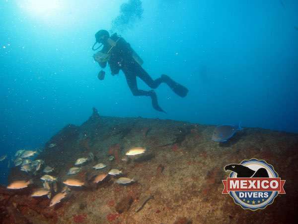 You are currently viewing Hondureño Shipwreck